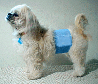 PU Housetraining Wrappers™ - Smaller Dogs
