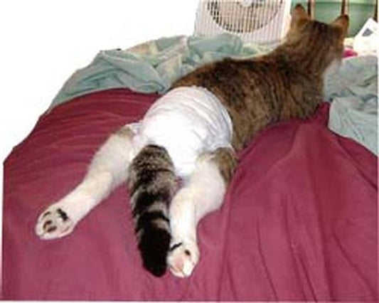 PU Disposable Pet Diapers - X-Large - 10/ea. pack
